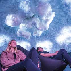 アートな空間に酔いしれる/Destination NSW