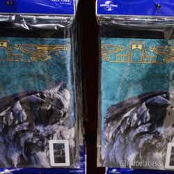 (C)モデルプレス