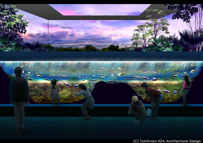 商業施設「川崎ルフロン」に水族館が2020年夏オープン／画像提供：情報：株式会社アクア・ライブ・インベストメント