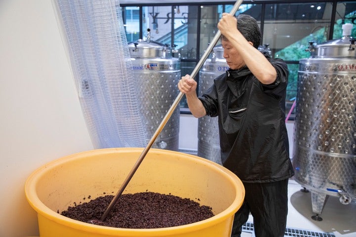 渋谷ワイナリー東京／画像提供：スイミージャパン