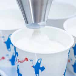 熱海ヨーグルト発酵所/提供画像