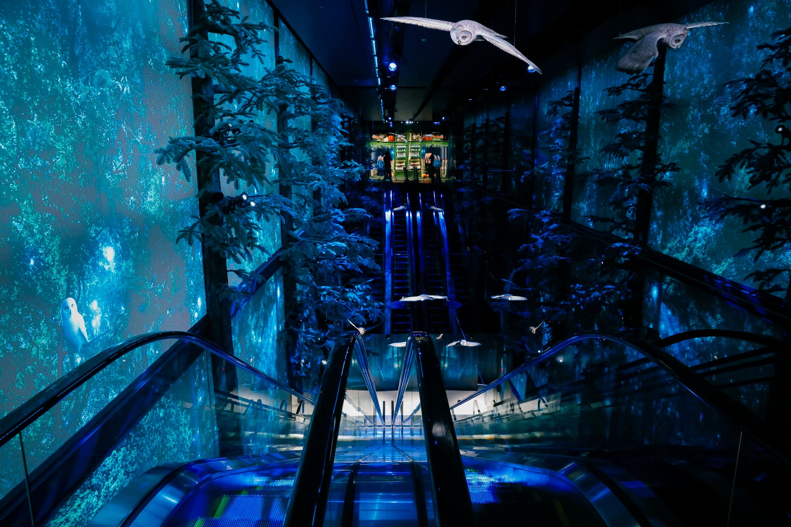 ハリー・ポッター ショップ 原宿／提供画像