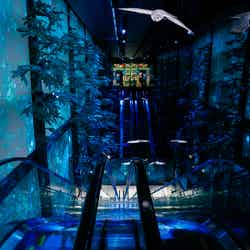 ハリー・ポッター ショップ 原宿/提供画像