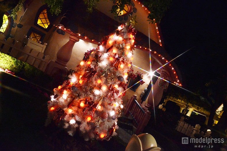 ミニーの家の前のツリー（TDL）