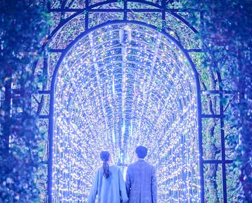 ハウステンボス「光の街のクリスマス」“一年で一番”イルミネーション輝く季節が到来