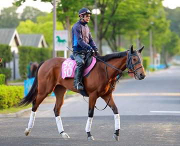 【葵S】メランコリニスタ “夏は牝馬”快速発揮だ 吉村師「逃げにはこだわらない」スピード性能の高さにかける