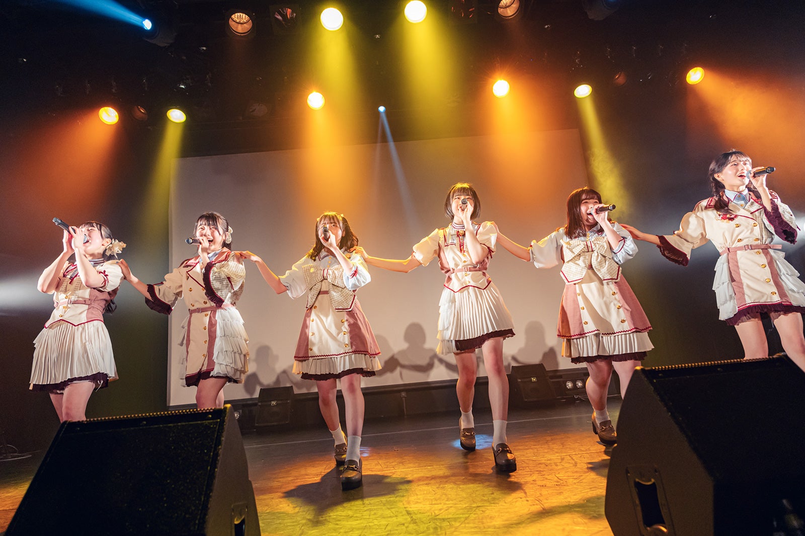 かすみ草とステラ（提供写真）