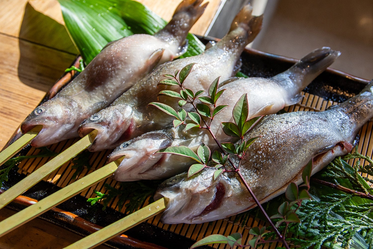 glampark 赤沢温泉／画像提供：ブッキングリゾート