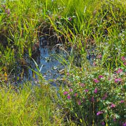 ザ ノマド 八ヶ岳/画像提供:THE NOMAD HOTELS & OUTDOORS