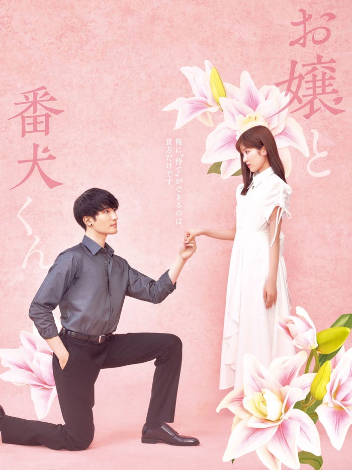 ジェシー、福本莉子「お嬢と番犬くん」ティザーチラシビジュアル(C)2025「お嬢と番犬くん」製作委員会