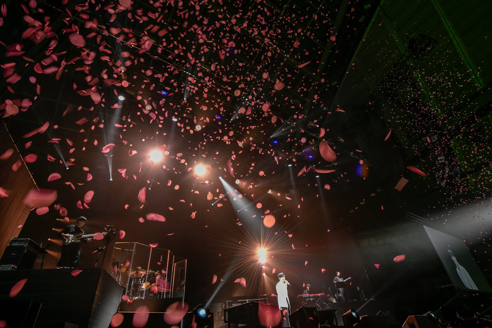 ドヨン（C）田中聖太郎写真事務所