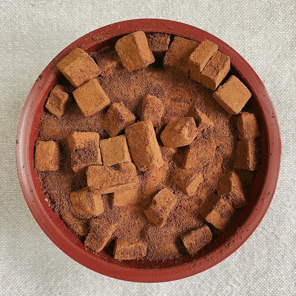 セブンイレブン生チョコアイス