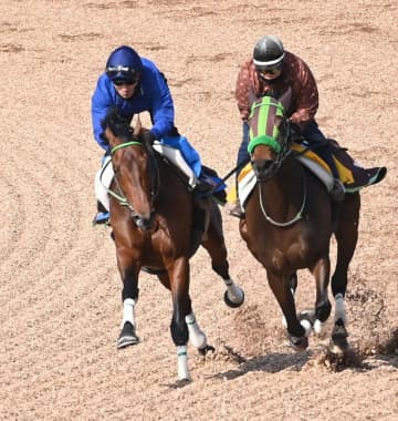 【阪神大賞典】レッドバンデ 大竹師が手応えにじます 「形上は格上挑戦だが、悪い競馬にはならない」