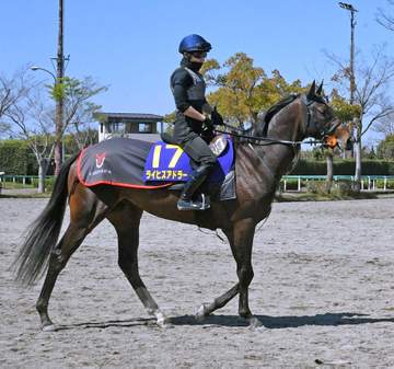 【皐月賞】ライヒスアドラー 上原佑師3頭出しの中でも仕上がり一番 「体のこなしに成長を感じます」