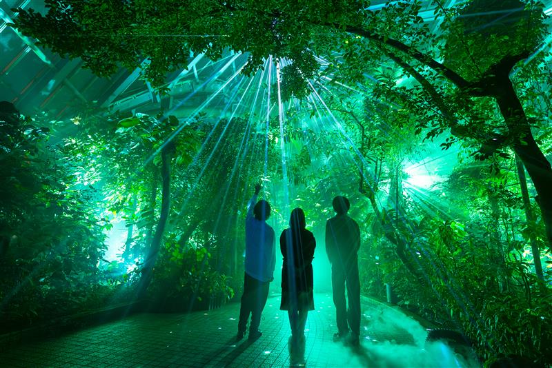 LIGHT CYCLES KYOTO／提供画像