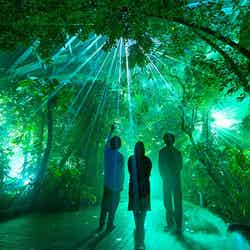 LIGHT CYCLES KYOTO/提供画像