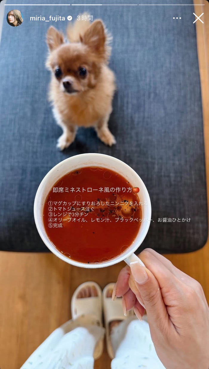 藤田みりあInstagramストーリーズより