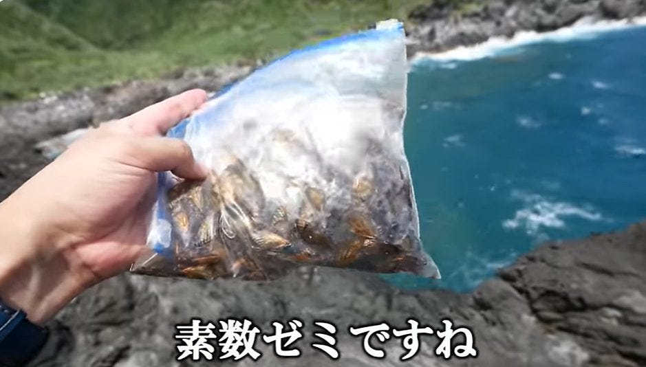 【うごめ紀】セミで大型魚は釣れる？自分に甘い無人島サバイバル生活開始！