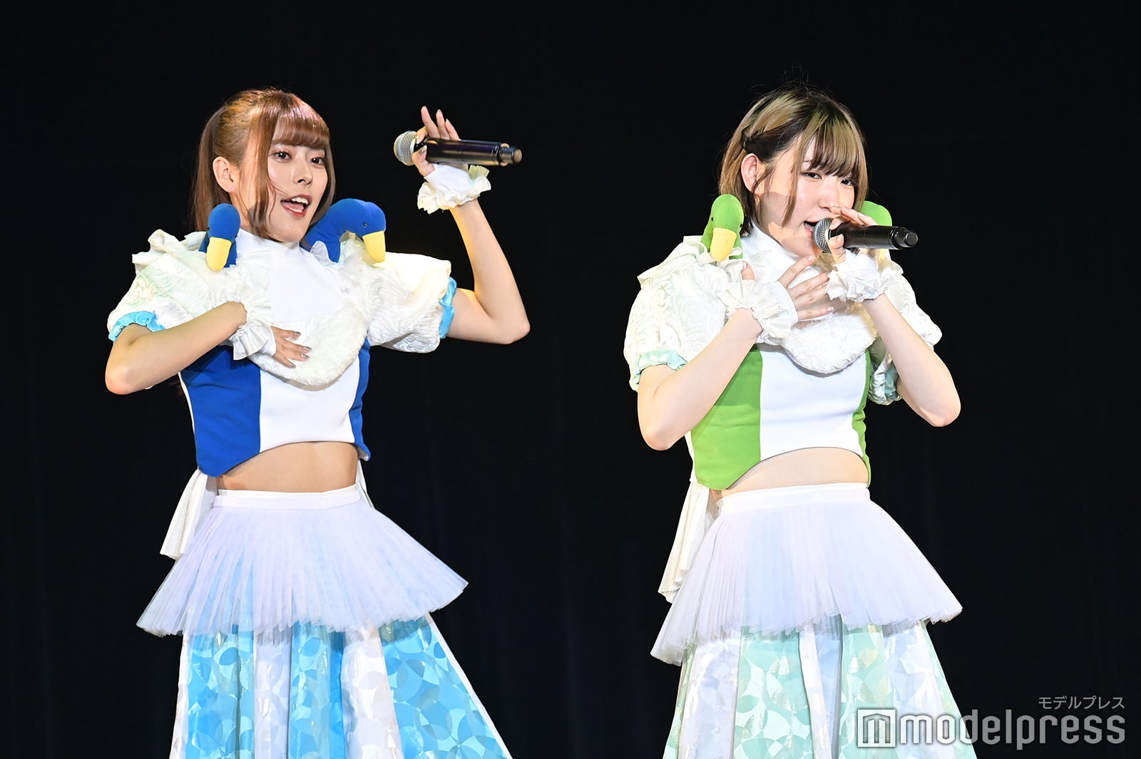 豆柴の大群（C）モデルプレス