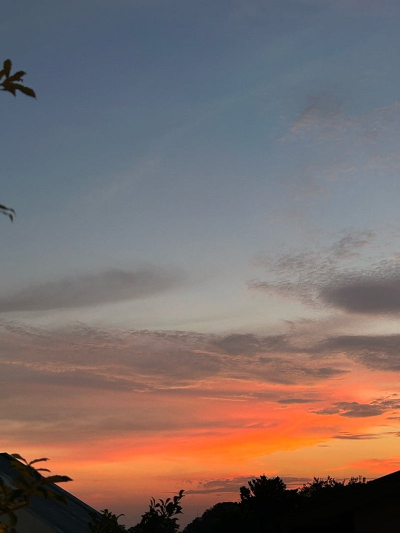 安めぐみ公式ブログより