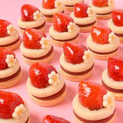 ⼤阪ストロベリーフェスティバル/提供画像