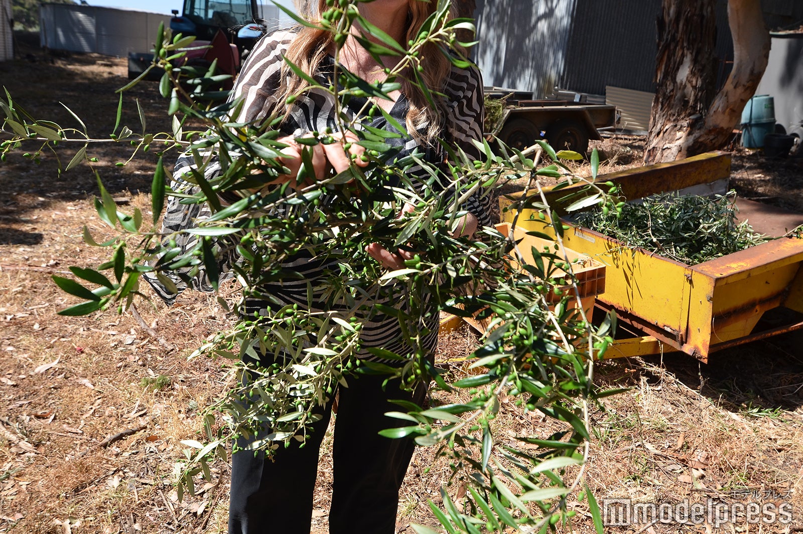 オリオ・ベロ（C）モデルプレス