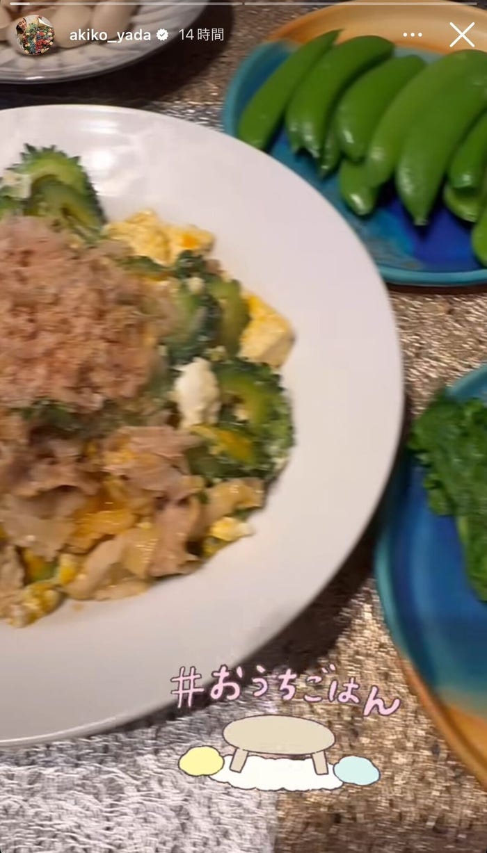 矢田亜希子Instagramストーリーズより