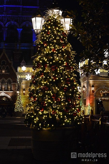 ウォーターフロントパークのツリー