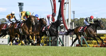 【金鯱賞】シェイクユアハート 豪脚一蹴！ハーツクライ産駒6歳春に満開 古川吉「脚が速かったですね」 中京芝二千で重賞V2