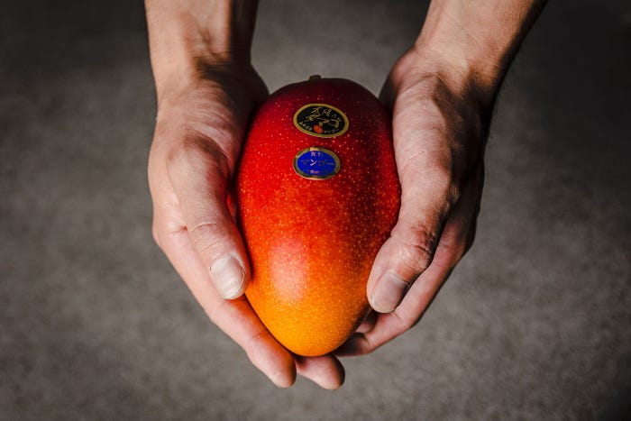 太陽のタマゴ/提供画像