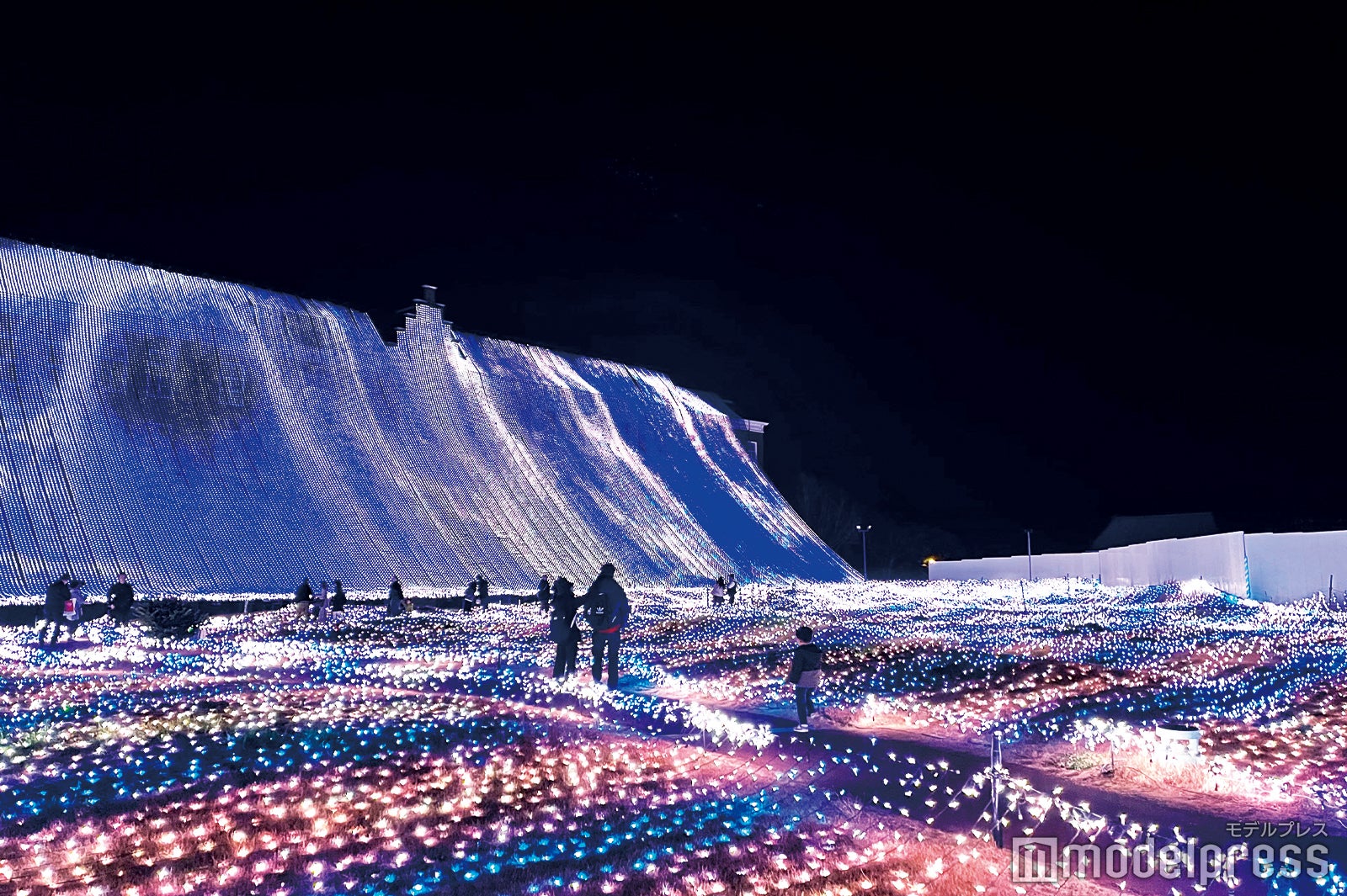 光のオーロラガーデン（C）モデルプレス