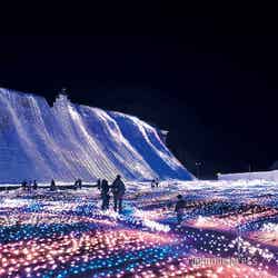 光のオーロラガーデン(C)モデルプレス