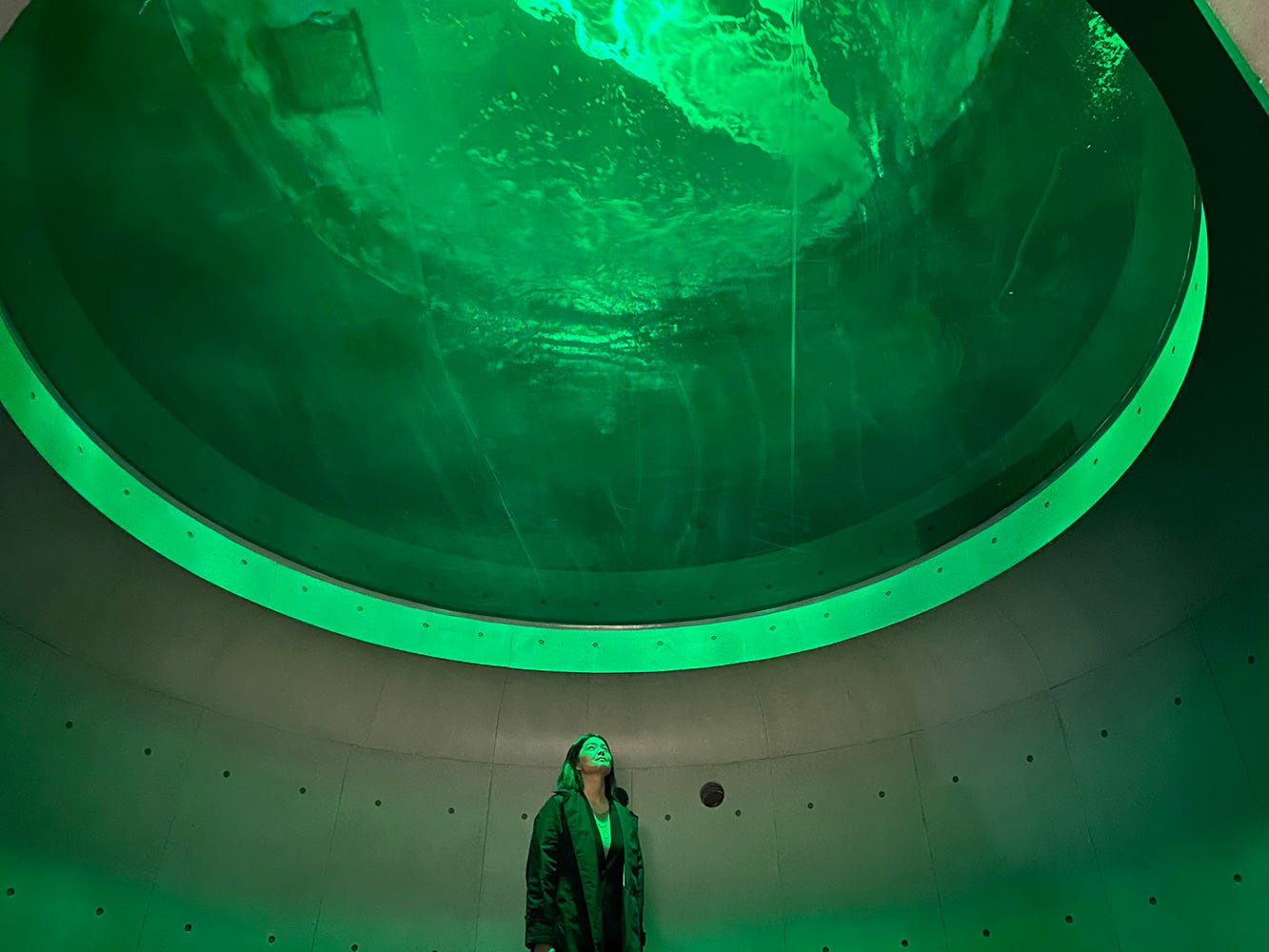 四国最大級の水族館「四国水族館」館内展示公開