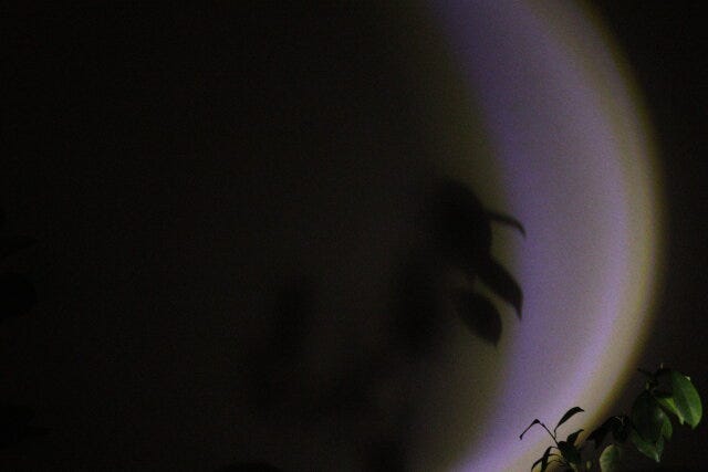 ダイソーの三日月ライトは幻想的な雰囲気作りにぴったり