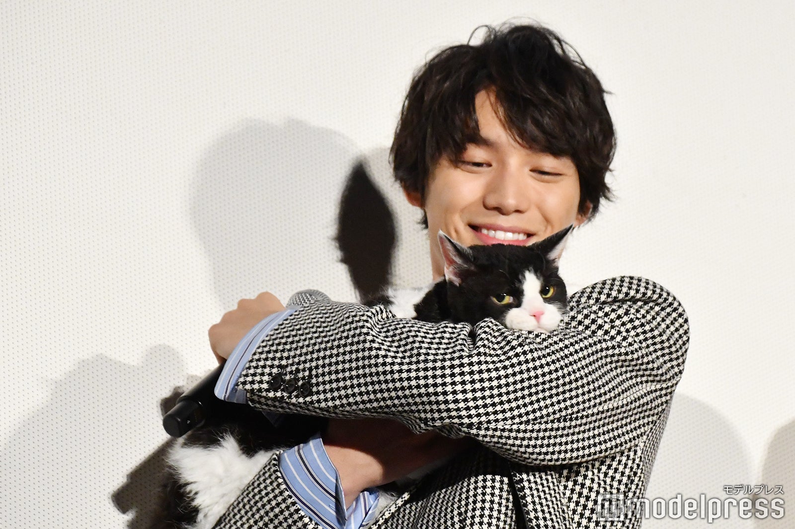 福士蒼汰と主演猫のナナ （C）モデルプレス
