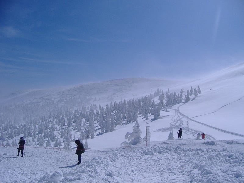 地蔵山頂駅周辺で見られる樹氷の風景（2009年2月22日撮影）