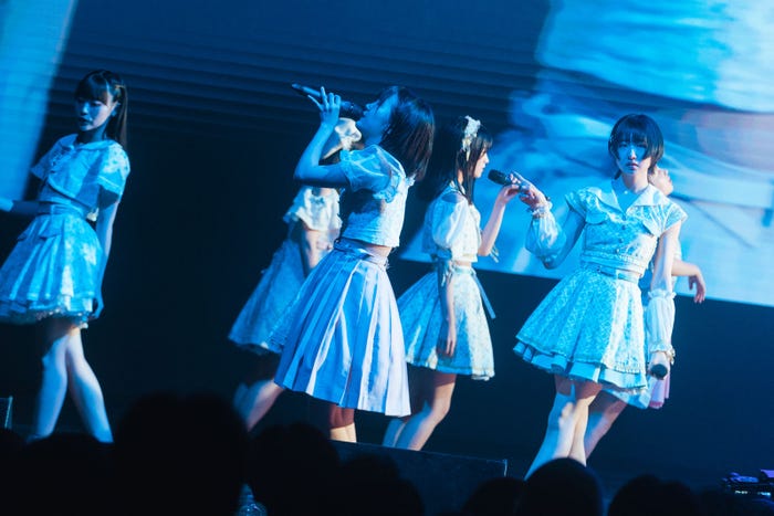 かすみ草とステラ/撮影:真島洸 (提供写真)