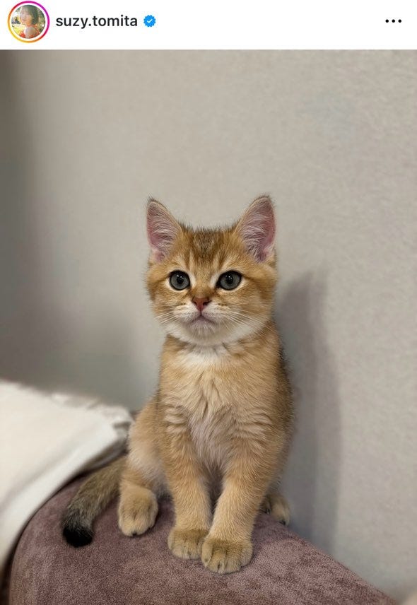 富田鈴花Instagramより