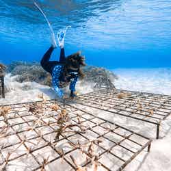 ホリスティック・アプローチ・トゥ・リーフ・プロテクション(Holistic Approach to Reef Protection:HARP)/提供画像