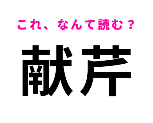 【献芹】はなんて読む?読めたらすごい難読漢字!