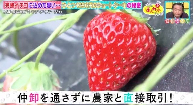 オープン前から大行列！超高価格でも1度は食べてみたい「ショートケーキ」