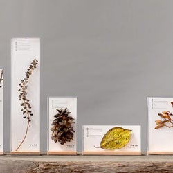 観葉植物やハーバリウムとも一味違う!「山のカケラ」を飾るインテリア雑貨