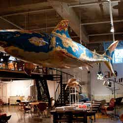 地下フロアの「aA furniture」/aA Design Museum, Hongdae, Seoul, South Korea by Jirka Matousek