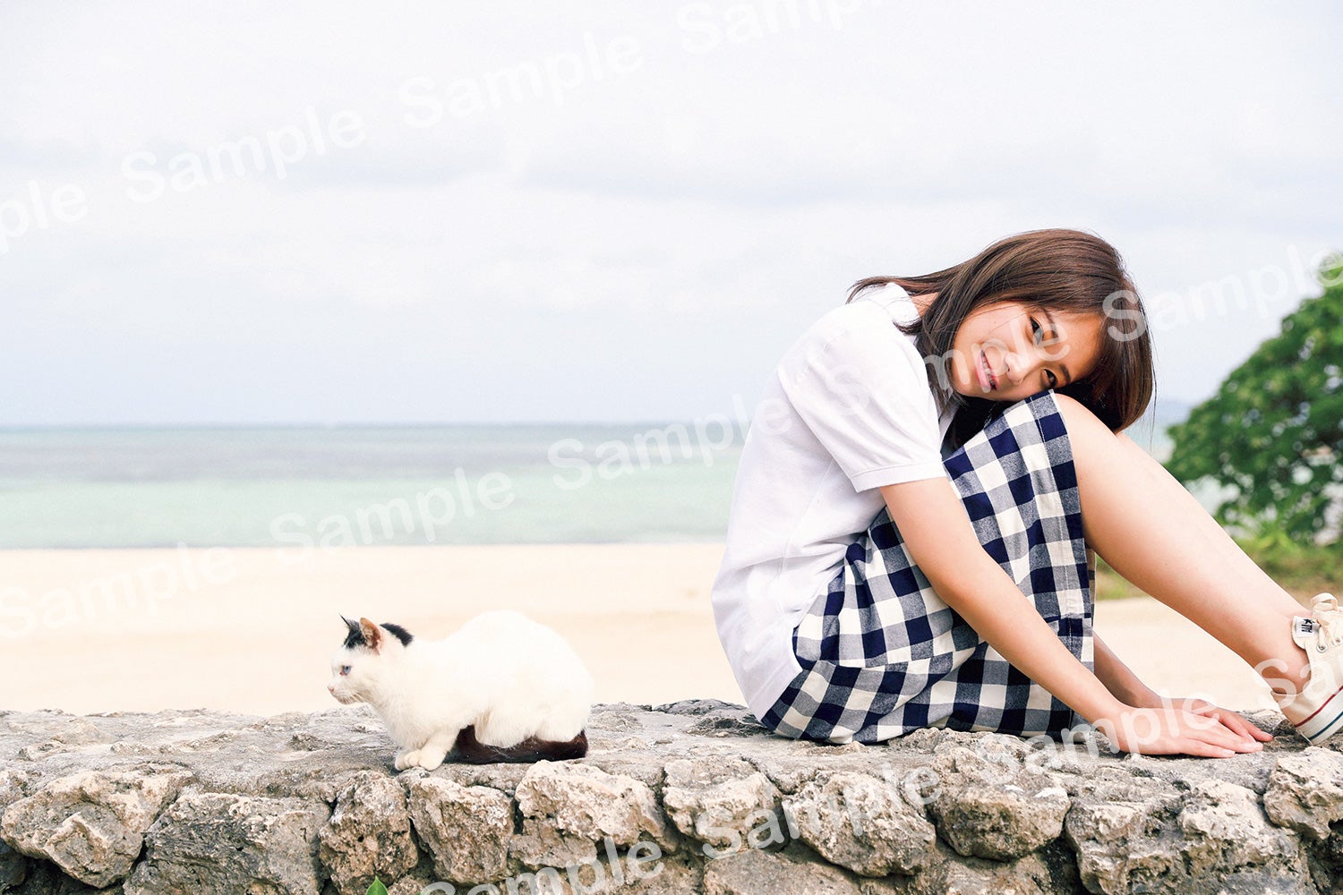 秋元真夏／撮影：倉本GORI（発売：竹書房）書店限定ポストカード／くまざわ書店