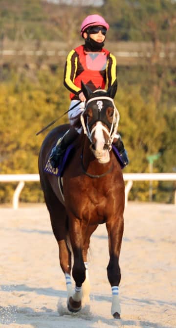 【地方競馬】雲取賞 トリグラフヒルは2着惜敗 松山は「残念です」と肩を落とす