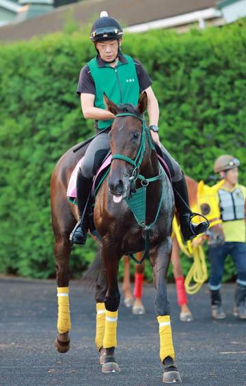 【紫苑S】リアライズルミナス雪辱戦 勝って本番へ 橋口師「舞台もローズSよりも、こちらが合う」
