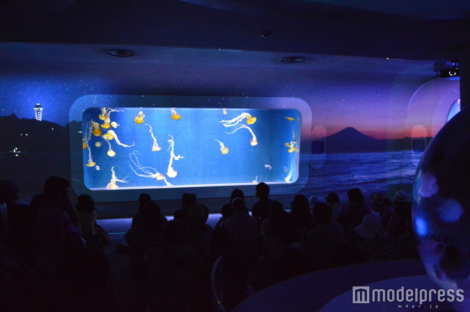海月の宇宙Another story ～クラゲと月が出会う時間～［クラゲファンタジーホール］／画像提供：新江ノ島水族館