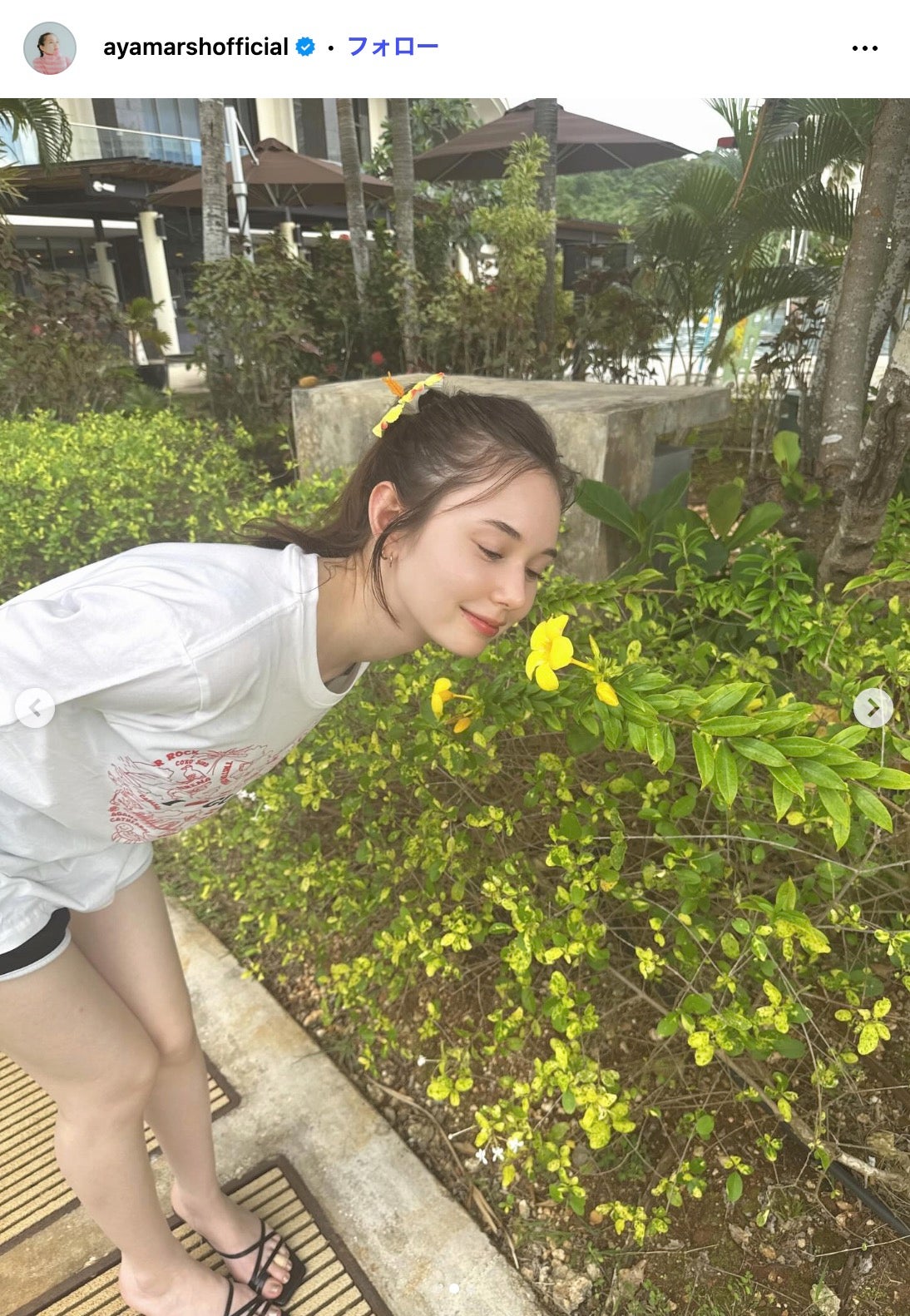 マーシュ彩Instagramより