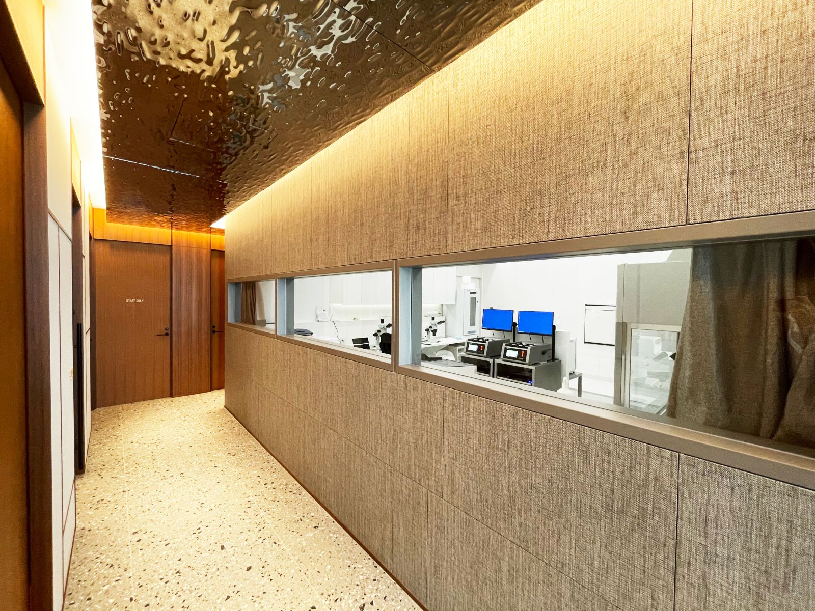 廊下から見える培養室の様子