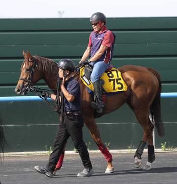 キーンランドC覇者サウンドモリアーナは3戦ぶりに吉田隼とスプリンターズSでG1初制覇を狙う